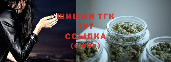 прущие крисы Абаза