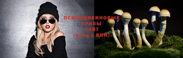 прущие крисы Абаза