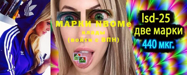 прущие грибы Каменка
