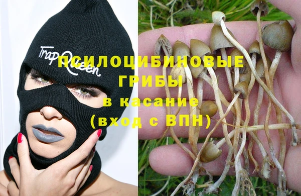 прущая мука Абинск