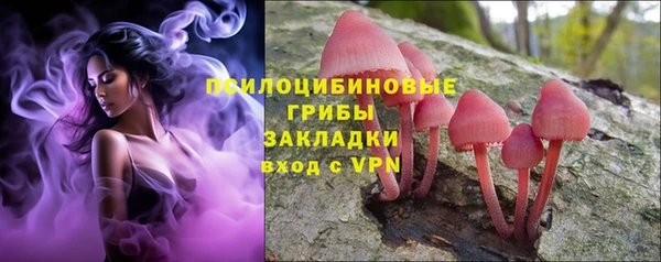 прущие крисы Абаза