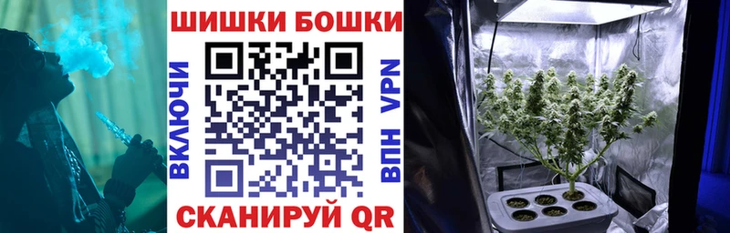 Конопля семена  Грозный 